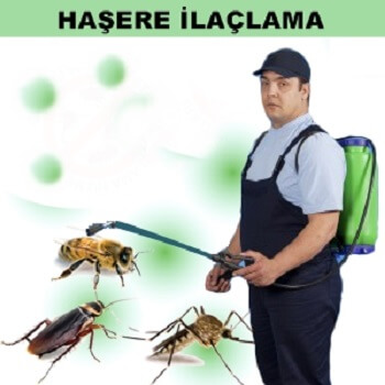 Gümüşhacıköy Böcek İlaçlama
